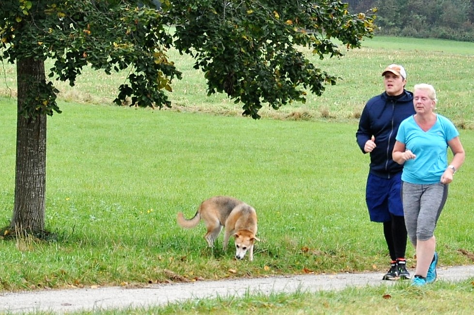 20 01 04 Marktlauf 25