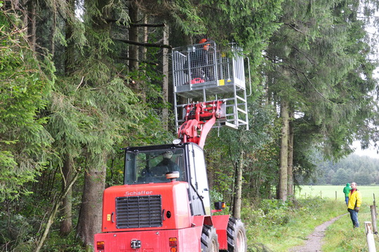 20171209 Waldweg Roggersdorf 21