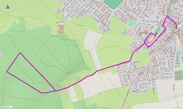 Strecke 5,0km